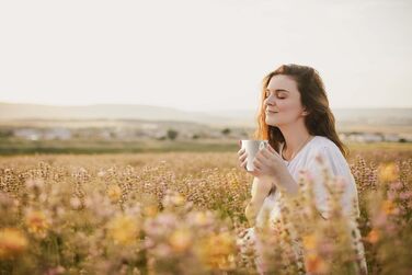 Кухоль з ручкою 0,35 л, набір 6 предметів, білі Amina White Seltmann Weiden