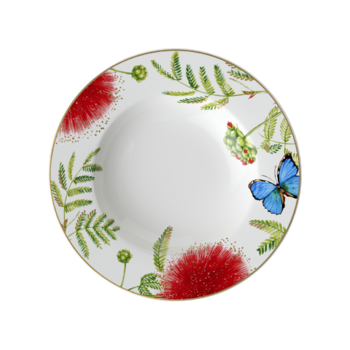 Тарілка для супу Amazonia Villeroy & Boch 24,8 см