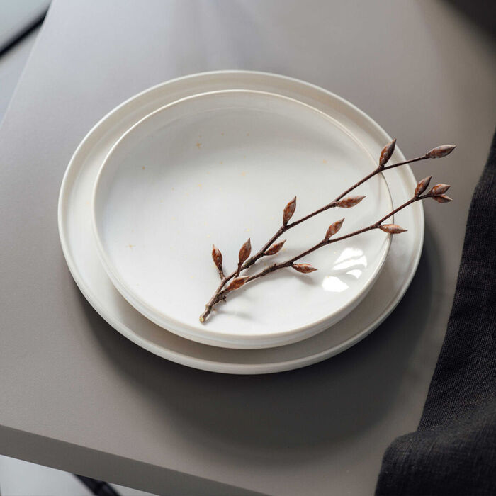 Тарелка обеденная 27 см Winter Glow Villeroy & Boch