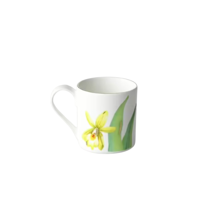 Чашка для еспресо та мокко Amazonia Villeroy & Boch 60 мл