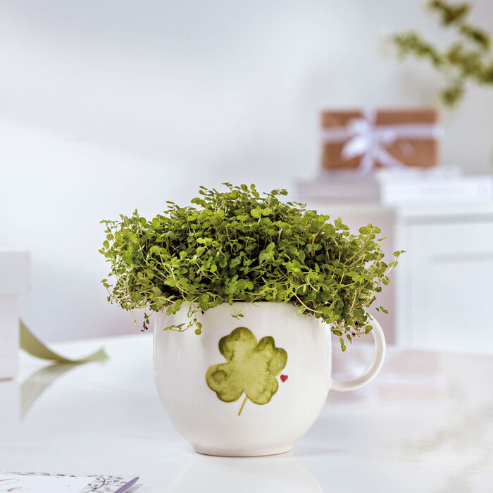 Кружка з ручкою 290 мл Чотирилисник With Love Villeroy & Boch