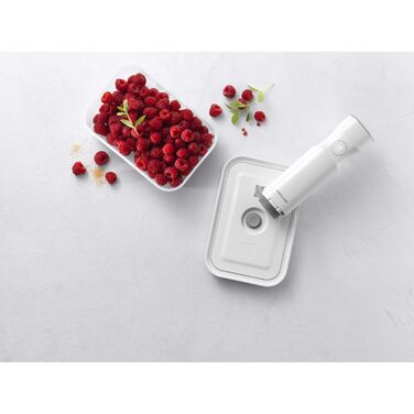 Вакуумний бокс S, напівпрозорий сірий Fresh & Save Zwilling