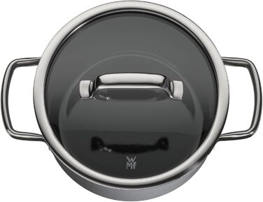 Набір каструль зі скляними кришками, 6 предметів сірі Fusiontec Mineral WMF