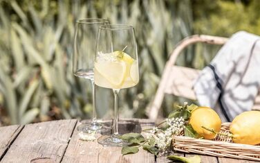 Набір келихів для вина та склянок для води,  8 предметів, Vivid Senses Zwiesel Glas