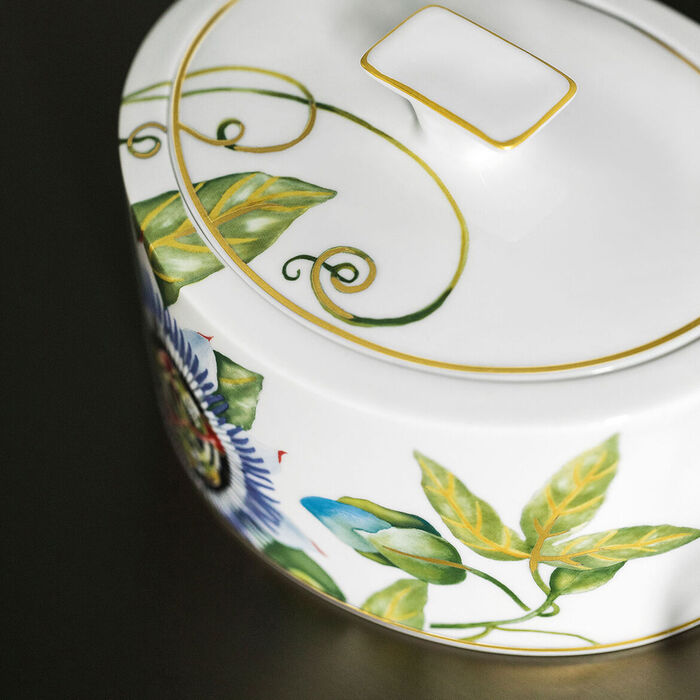 Ємність для зберігання Amazonia Villeroy & Boch 800 мл