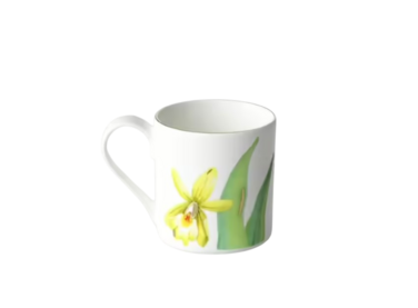 Чашка для еспресо та мокко Amazonia Villeroy & Boch 60 мл