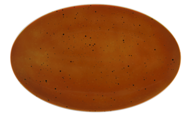 Блюдо овальне 40 х 25.5 см Country Life Terracotta Coup Fine Dining Seltmann
