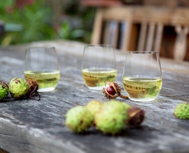Набір келихів для білого вина 6 предмета Viognier / Chardonnay O Wine Tumbler Riedel