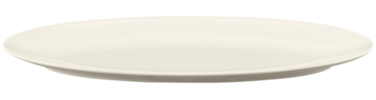 Тарелка сервировочная 43 x 19 см Zoе Seltmann Weiden