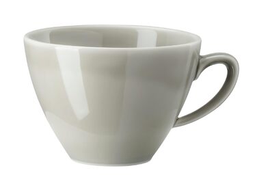 Чашка 0,29 л Mesh Color Mountain Rosenthal