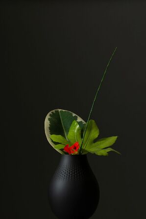 Колекція Collier