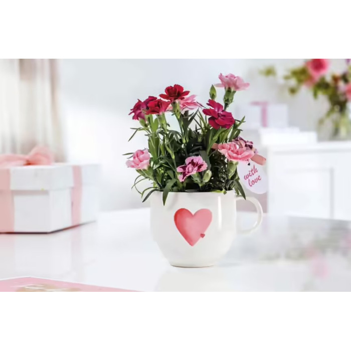 Колекція With Love