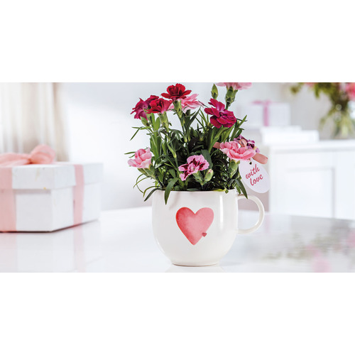 https://kitchen-profi-premium.com.ua/img/kr/f23/f2398e1768e006f1ff4e39064f3f63e7x500x500x80.jpg