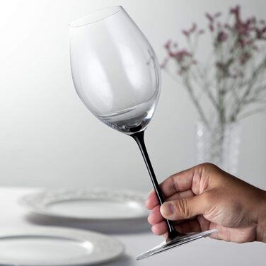 Декантер Riedel 4100/83 Black Tie Amadeo (Syrah)